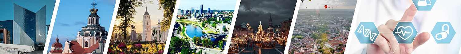 Vilnius montage